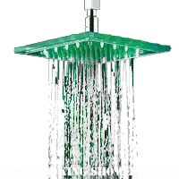 Shower Head