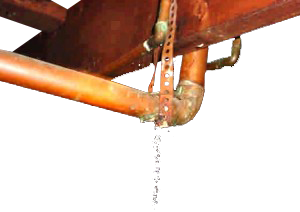 Leaky Water Pipes